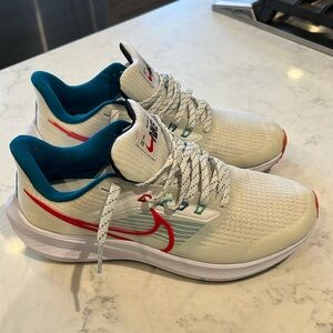 Nike Pegasus 39